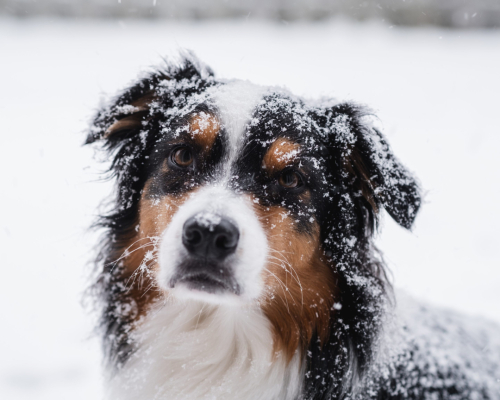 Max Koopman Media - Lifestyle Photography