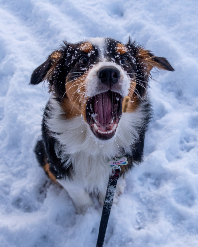 Max Koopman Media - Lifestyle Photography