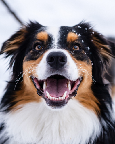 Max Koopman Media - Lifestyle Photography