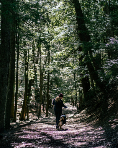 Max Koopman Media - Lifestyle Photography